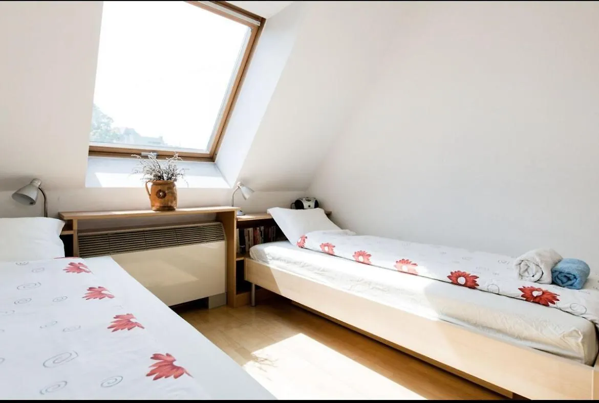 Penthouse By The Danube Apartment Budapest Hungary
